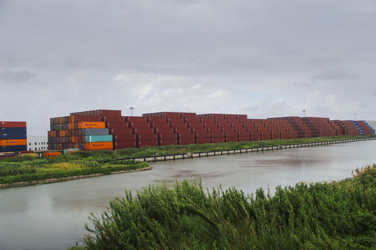 市场采购贸易赋能外贸新生态